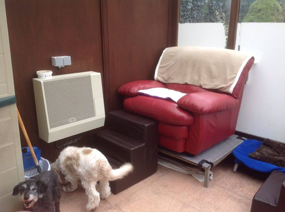 Pension pour chiens et chats Au Regard d'Ange