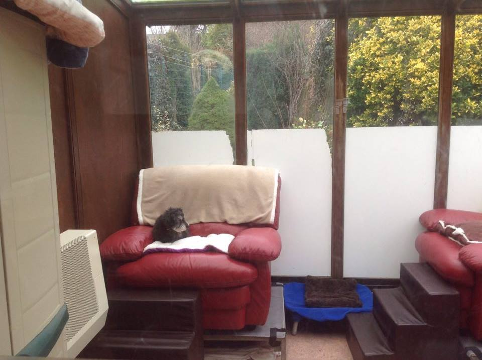 Pension pour chiens et chats Au Regard d'Ange